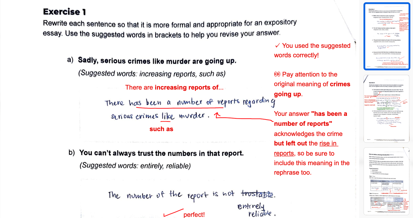 Expert feedback screenshot showing detailed writing feedback
